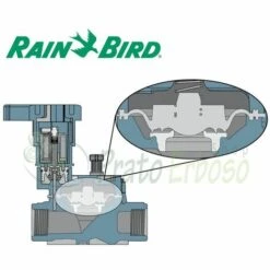 RAIN-BIRD LFV-075 - Électrovanne, 3/4"