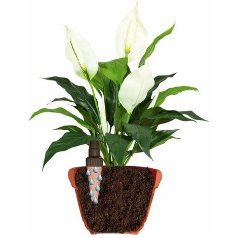 JARDIBRIC Arroseur Autonome Aquago Avec Cônes En Terre Cuite 2 Pcs 4 JARDIBRIC Arroseur Autonome Aquago Avec Cônes En Terre Cuite 2 Pcs – Image 3