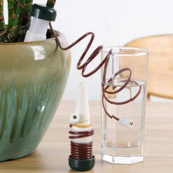 HAPPYSHOPPING Pack De 8 Arrosoir Automatique Pour Fleurs, Arrosoir Filaire Pour Fleurs, Dispositif D'infiltration D'eau 10 HAPPYSHOPPING Pack De 8 Arrosoir Automatique Pour Fleurs, Arrosoir Filaire Pour Fleurs, Dispositif D'infiltration D'eau -Arrosage automatique Soldes 31563255 4