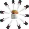 SystèMe D'Arrosage De Jardin Abreuvoir Automatique De Plantes De Vacances Abreuvoir De Plantes D'IntéRieur SystèMe D'Arrosage Pour Plantes 11*3cm Fontainebleau 10Pcs 1 SystèMe D'Arrosage De Jardin Abreuvoir Automatique De Plantes De Vacances Abreuvoir De Plantes D'IntéRieur SystèMe D'Arrosage Pour Plantes 11*3cm Fontainebleau 10Pcs -Arrosage automatique Soldes 47206984 1