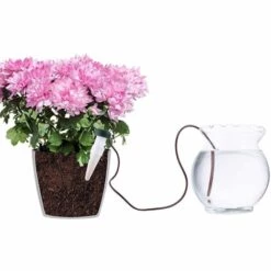 SystèMe D'Arrosage De Jardin Abreuvoir Automatique De Plantes De Vacances Abreuvoir De Plantes D'IntéRieur SystèMe D'Arrosage Pour Plantes 11*3cm Fontainebleau 10Pcs -Arrosage automatique Soldes 47206984 5