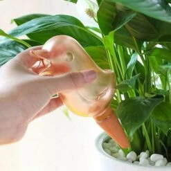 ZHUOXUAN Kit D'égouttement 2 Pièces, Boule D'eau Automatique, Ampoule D'arrosage Des Plantes, Arrosage Des Plantes Et Unité D'égouttement Automatique Des Fleurs Pour Plantes D'intérieur Pendant Les Vacances Ou Les Voyages -Arrosage automatique Soldes 55313889 5