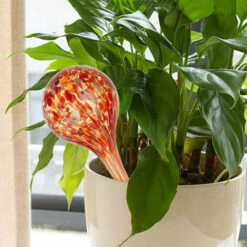 PETITES ECREVISSES 4 Pcs Boules Arrosage Automatique Colorées Globes D'arrosage Des Plantes En Verre 8 Cm De Diamètre -Arrosage automatique Soldes 55495901 4