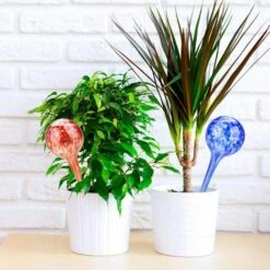 PETITES ECREVISSES 4 Pcs Boules Arrosage Automatique Colorées Globes D'arrosage Des Plantes En Verre 8 Cm De Diamètre -Arrosage automatique Soldes 55495901 5