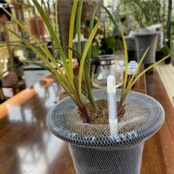 FONTAINEBLEAU Aquameter Lot De 2 Pièces Indicateur D'irrigation Pour Plantes, Facile à Utiliser, Empêche Les Plantes De Flétrir, Aucune Pile Requise, Petit, Blanc,Fonepro 9 FONTAINEBLEAU Aquameter Lot De 2 Pièces Indicateur D'irrigation Pour Plantes, Facile à Utiliser, Empêche Les Plantes De Flétrir, Aucune Pile Requise, Petit, Blanc,Fonepro -Arrosage automatique Soldes 55922785 3