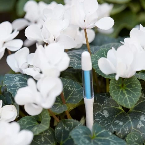 FONTAINEBLEAU Aquameter Lot De 2 Pièces Indicateur D'irrigation Pour Plantes, Facile à Utiliser, Empêche Les Plantes De Flétrir, Aucune Pile Requise, Petit, Blanc,Fonepro 6 FONTAINEBLEAU Aquameter Lot De 2 Pièces Indicateur D'irrigation Pour Plantes, Facile à Utiliser, Empêche Les Plantes De Flétrir, Aucune Pile Requise, Petit, Blanc,Fonepro – Image 4