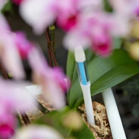 FONTAINEBLEAU Aquameter Lot De 2 Pièces Indicateur D'irrigation Pour Plantes, Facile à Utiliser, Empêche Les Plantes De Flétrir, Aucune Pile Requise, Petit, Blanc,Fonepro 7 FONTAINEBLEAU Aquameter Lot De 2 Pièces Indicateur D'irrigation Pour Plantes, Facile à Utiliser, Empêche Les Plantes De Flétrir, Aucune Pile Requise, Petit, Blanc,Fonepro – Image 5