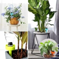 CHANCEY 24 PièCes Pointes D'Auto-Arrosage, Arrosage RéGlable Des Plantes, Abreuvoir Automatique D'Irrigation Goutte à Goutte Avec Interrupteur De Soupape De Commande De LibéRation,SEMAket,mélange De Trois Couleurs -Arrosage automatique Soldes 56494080 5