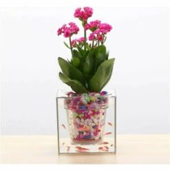 MACARON Pots D'auto-arrosage En Plastique Transparent Pour Jardinière à Arrosage Automatique Pour Jardinière Intérieure à Arrosage Automatique Pour Plantes Succulentes, Herbes, Violettes LO-Ron -Arrosage automatique Soldes 57370935 3