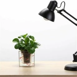 MACARON Pots D'auto-arrosage En Plastique Transparent Pour Jardinière à Arrosage Automatique Pour Jardinière Intérieure à Arrosage Automatique Pour Plantes Succulentes, Herbes, Violettes LO-Ron -Arrosage automatique Soldes 57370935 4