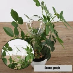 FLYME Arrosage Automatique Bulbe Fleur Goutte à Goutte Dispositif Boule D'Arrosage Boule D'Arrosage Automatique Pour Plantes Intérieures Et Extérieures PVC Transparent 6 Pièces -Arrosage automatique Soldes 58847052 5