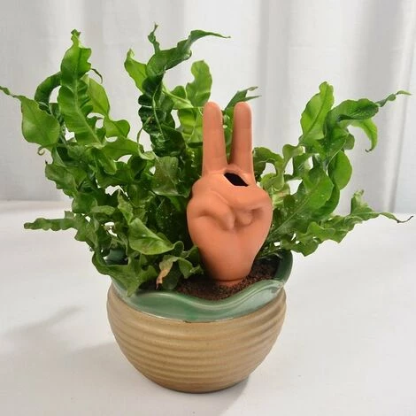 DONTODENT Goutteurs D'arrosage Des Plantes, Systèmes D'irrigation Automatiques, Dispositif D'auto-arrosage Pour Jardin De Plantes Intérieur Extérieur-Geste En V 4 DONTODENT Goutteurs D'arrosage Des Plantes, Systèmes D'irrigation Automatiques, Dispositif D'auto-arrosage Pour Jardin De Plantes Intérieur Extérieur-Geste En V – Image 2