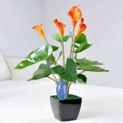 BENOBBY KIDS 3 Pièces Kit D'irrigation Goutte à Goutte Abreuvoir Automatique Oiseau Plante Abreuvoir Intérieur Plante Arroseur Extérieur Pot De Fleur Décoration -Arrosage automatique Soldes 60720577 4