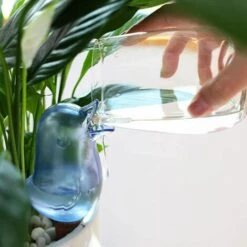 BENOBBY KIDS 3 Pièces Kit D'irrigation Goutte à Goutte Abreuvoir Automatique Oiseau Plante Abreuvoir Intérieur Plante Arroseur Extérieur Pot De Fleur Décoration -Arrosage automatique Soldes 60720577 5