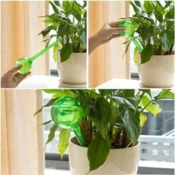 HEGUYEY 8 Pcs Globe D'arrosage, Automatique Boule D'irrigation Pour Arrosage Plante Interieur Fleurs Jardin En Pot 2 Tailles 9 HEGUYEY 8 Pcs Globe D'arrosage, Automatique Boule D'irrigation Pour Arrosage Plante Interieur Fleurs Jardin En Pot 2 Tailles -Arrosage automatique Soldes 63690739 3