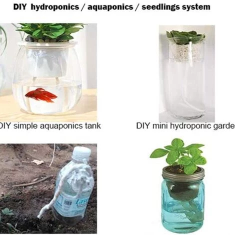 ROSIER 60 Pieds 6mm Diameter Cordon De Mèche Capillaire à Arrosage Automatique, Mèche Hydroponique Bricolage, Pot De Jardinière à Arrosage Automatique, Dispositif De Système D'eau Automatique——VEBTles 5 ROSIER 60 Pieds 6mm Diameter Cordon De Mèche Capillaire à Arrosage Automatique, Mèche Hydroponique Bricolage, Pot De Jardinière à Arrosage Automatique, Dispositif De Système D'eau Automatique——VEBTles – Image 3
