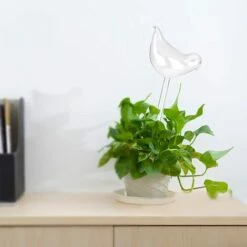 Plantes D'intérieur Fleurs Dispositifs Automatiques D'arrosage Automatique Effacer La Forme De L'oiseau En Verre Pour Le Conducteur D'eau En Verre Pour La Maison Jardin GrooFoo 10 Plantes D'intérieur Fleurs Dispositifs Automatiques D'arrosage Automatique Effacer La Forme De L'oiseau En Verre Pour Le Conducteur D'eau En Verre Pour La Maison Jardin GrooFoo -Arrosage automatique Soldes 63800056 4