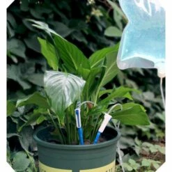 BENOBBY KIDS Lot De 2 Kits D'irrigation Goutte à Goutte Pour Plantes - Système D'arrosage Automatique Des Plantes - Sac D'eau De 3 L Avec 2 Goutteurs En Flèche - Débit Réglable -Arrosage automatique Soldes 65373018 4