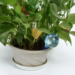 MONLY Arrosoir Automatique Des Plantes De Vacances Appareils D'arrosage Système D'arrosage Pour Fleurs Jardin (S+Transparent) 4 Pcs -Arrosage automatique Soldes 66080334 5